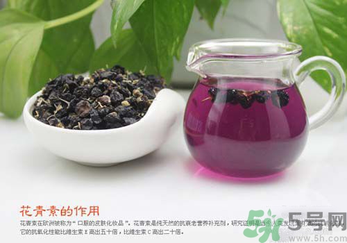 黑枸杞泡水是什么顏色？黑枸杞泡水是紫色的嗎？