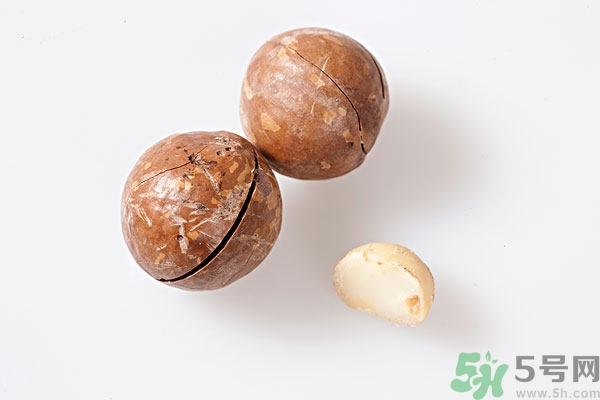 夏威夷果什么時候成熟上市？腰果和夏威夷果的區(qū)別