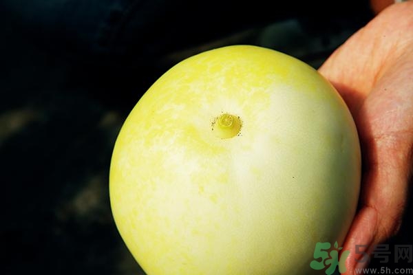 香瓜有酒味能吃嗎？香瓜有酒味吃了會(huì)怎樣？