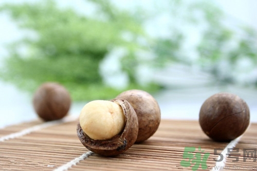 夏威夷果可以做菜嗎?夏威夷果怎么做菜 夏威夷果可以做菜嗎?夏威夷果怎么做菜