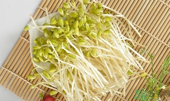 產(chǎn)婦可以吃豆豆芽?產(chǎn)婦吃豆芽回奶嗎 產(chǎn)婦可以吃豆豆芽?產(chǎn)婦吃豆芽回奶嗎