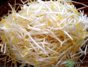 綠豆芽產(chǎn)婦可以吃嗎?產(chǎn)婦吃綠豆芽好嗎 綠豆芽產(chǎn)婦可以吃嗎?產(chǎn)婦吃綠豆芽好嗎