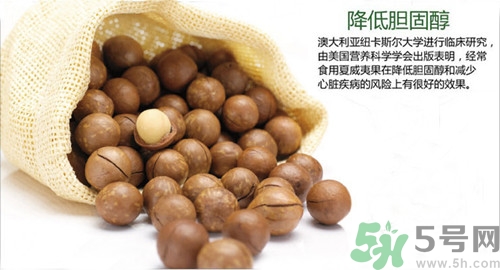 吃夏威夷果會(huì)過(guò)敏嗎?夏威夷果過(guò)敏怎么辦 吃夏威夷果會(huì)過(guò)敏嗎?夏威夷果過(guò)敏怎么辦