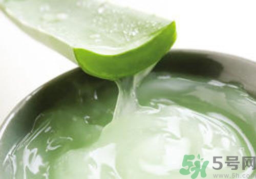 蘆薈膠可以天天用嗎？蘆薈膠天天用好不好？