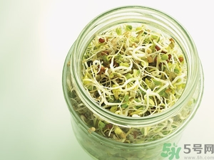 吃豆芽會(huì)胖嗎？豆芽會(huì)不會(huì)讓人長(zhǎng)胖？
