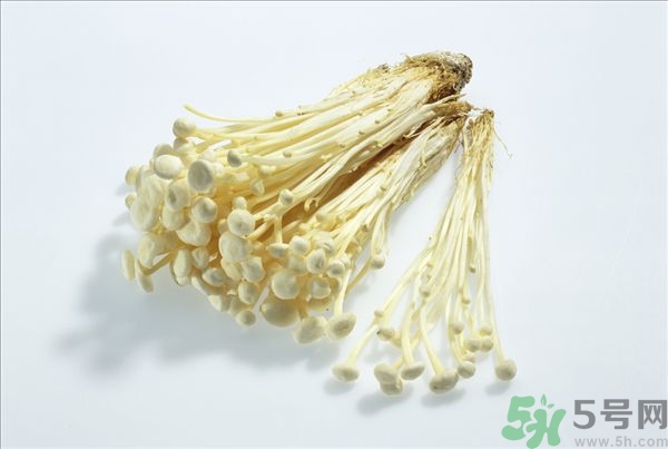 致癌金針菇怎么鑒別？如何選購金針菇？