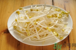 痔瘡能吃豆芽嗎?痔瘡患者吃豆芽會怎么樣 痔瘡能吃豆芽嗎?痔瘡患者吃豆芽會怎么樣