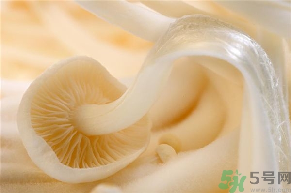 致癌金針菇怎么鑒別？如何選購金針菇？