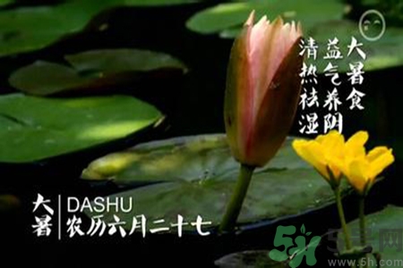 大暑是入伏嗎？大暑是最熱的時(shí)候嗎？