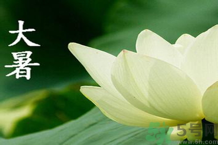 大暑是入伏嗎？大暑是最熱的時(shí)候嗎？