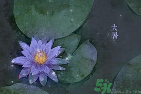 大暑吃什么養(yǎng)生？大暑吃什么好？