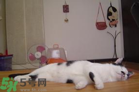 夏天睡涼席好嗎？夏天睡涼席好不好？