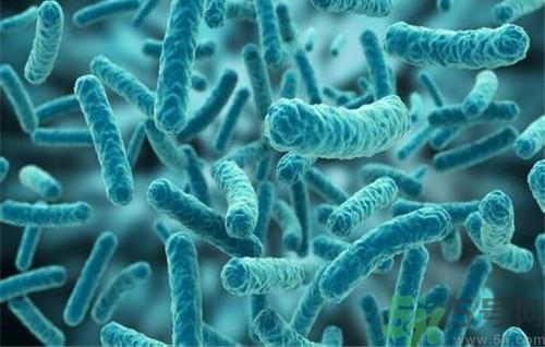 裂谷熱病怎么治？裂谷熱病的癥狀有哪些？