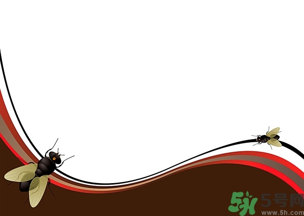 小飛蟲怎么消滅？小飛蟲怎么生出來的？