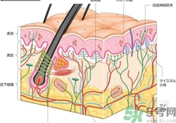 大熱天不出汗什么原因？夏天不出汗怎么辦？
