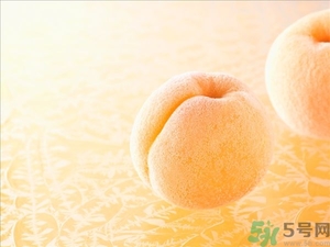 杏子不太熟能吃嗎？杏子不太熟怎么辦？