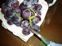 葡萄怎么洗才干凈?洗葡萄的正確方法 葡萄怎么洗才干凈?洗葡萄的正確方法