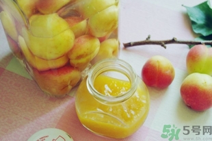 杏子可以泡酒嗎?杏子泡酒有什么功效 杏子可以泡酒嗎?杏子泡酒有什么功效