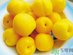 杏子可以做菜嗎?杏子可以做什么菜 杏子可以做菜嗎?杏子可以做什么菜