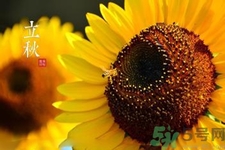 立秋是什么意思？立秋的含義