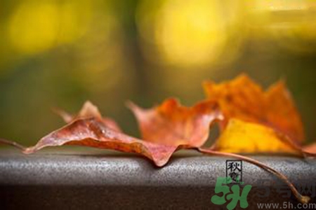 立秋是秋分嗎？立秋和秋分的區(qū)別？