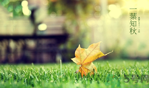 立秋吃黃瓜好嗎?立秋吃黃瓜可以減肥嗎 立秋吃黃瓜好嗎?立秋吃黃瓜可以減肥嗎