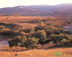 貼秋膘是什么時候？立秋貼秋膘的方法及五大禁忌人群