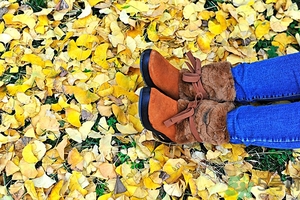 立秋貼秋膘吃什么？貼秋膘吃什么？