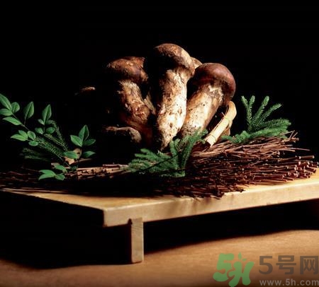 松茸放久變黃還能吃嗎?松茸變質(zhì)的樣子 松茸放久變黃還能吃嗎?松茸變質(zhì)的樣子