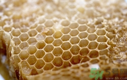 蜂膠和魚油可以一起吃嗎?蜂膠和魚油一起吃會怎樣 蜂膠和魚油可以一起吃嗎?蜂膠和魚油一起吃會怎樣