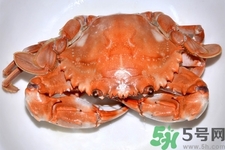 新鮮螃蟹該如何保存？熟螃蟹怎么存放？