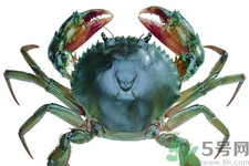 螃蟹死了還能吃嗎？螃蟹怎么清洗？