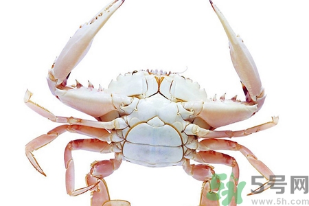 螃蟹死了還能吃嗎？螃蟹怎么清洗？