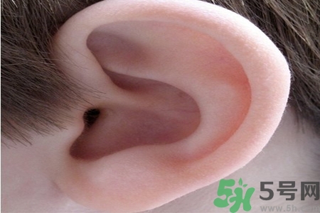 耳朵癢是怎么回事？耳朵癢怎么辦？