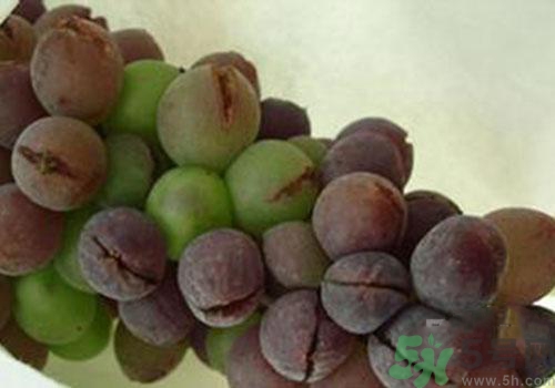 葡萄是幾月份的水果？葡萄什么時候上市？