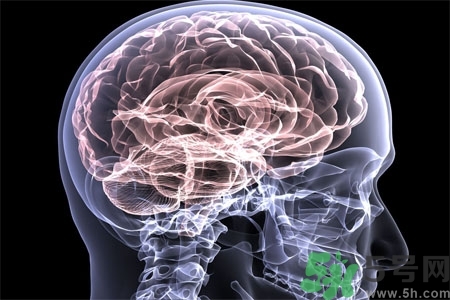 癲癇的護(hù)理措施？癲癇的飲食護(hù)理是什么？