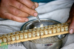 蜂王漿是涼性還是熱性?蜂王漿是涼性嗎? 蜂王漿是涼性還是熱性?蜂王漿是涼性嗎?