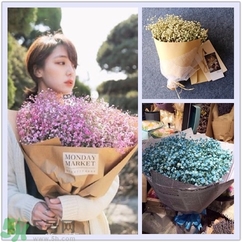 七夕送女朋友什么花？七夕送女朋友花送幾朵？