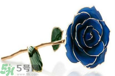 七夕送女朋友什么花？七夕送女朋友花送幾朵？