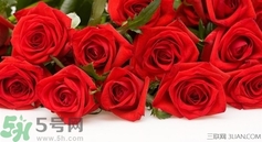 七夕和女朋友怎么過？七夕和女朋友說什么？