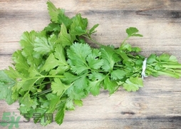 香菜可以和洋蔥一起吃嗎?香菜能和洋蔥同吃嗎? 香菜可以和洋蔥一起吃嗎?香菜能和洋蔥同吃嗎?