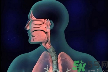 過(guò)敏性鼻炎的高發(fā)人群有哪些？如何預(yù)防過(guò)敏性鼻炎？