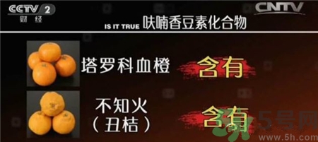 吃降壓藥能吃柚子嗎?服用降壓藥吃柚子會怎樣? 吃降壓藥能吃柚子嗎?服用降壓藥吃柚子會怎樣?