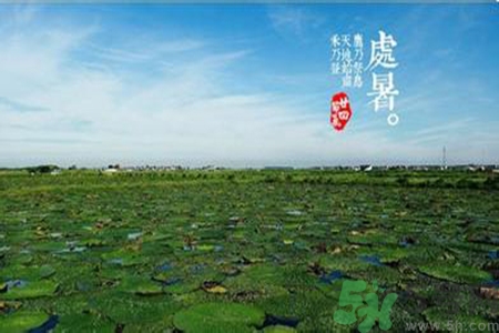 處暑吃什么水果？處暑養(yǎng)生水果推薦