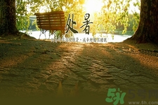 處暑喝什么茶？處暑養(yǎng)生茶推薦