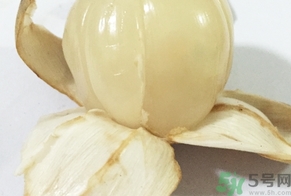 龍宮果的營養(yǎng)價值 龍宮果的功效與作用 龍宮果的營養(yǎng)價值 龍宮果的功效與作用