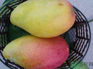 青芒和黃色芒果哪個(gè)好？青芒和黃色芒果的區(qū)別