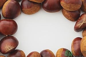 板栗發(fā)芽了能吃嗎？發(fā)芽的板栗還能吃嗎？