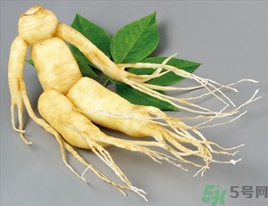 人參不能與什么同食?人參和什么相克 人參不能與什么同食?人參和什么相克