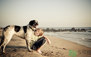 在家無聊怎么打發(fā)時間?在家無聊怎么辦 在家無聊怎么打發(fā)時間?在家無聊怎么辦